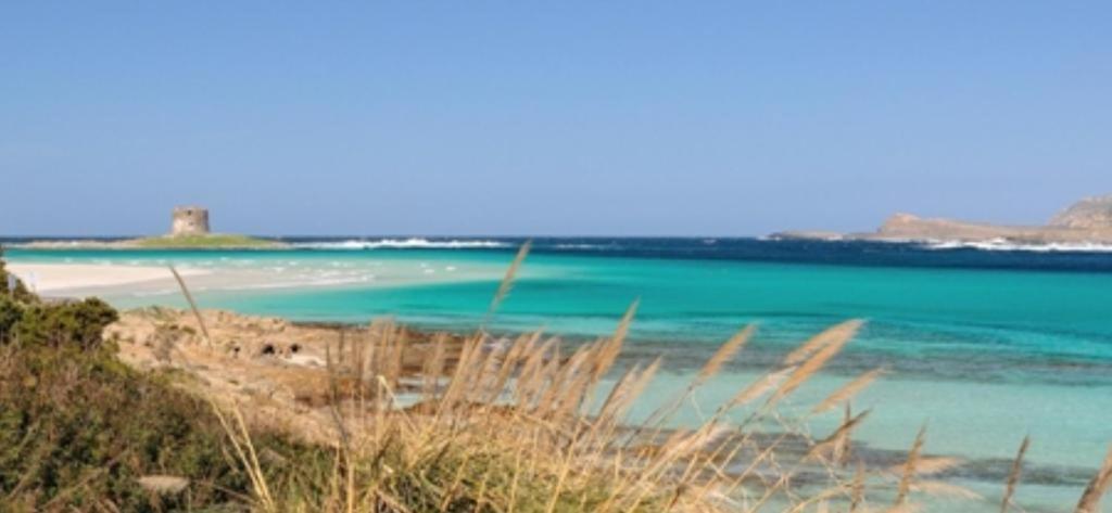 Appartamento La Pelosa Stintino Buitenkant foto